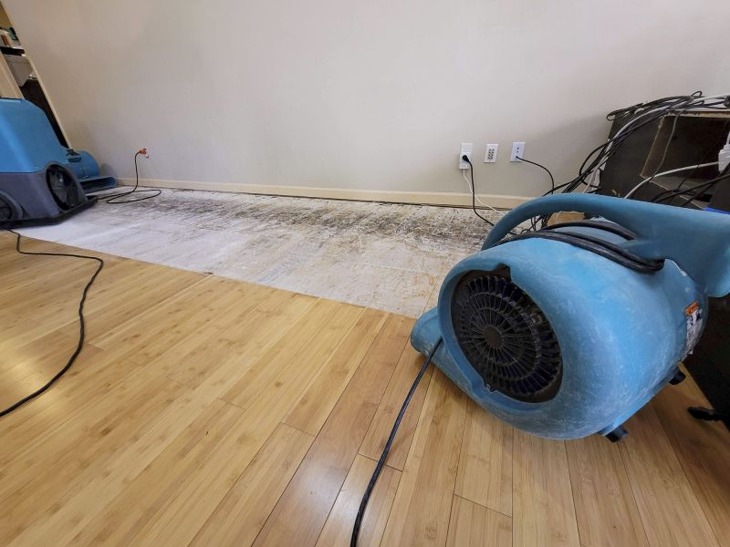 Water Damage Mitigation